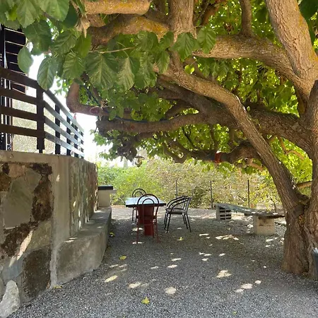 Thomas House Nyaraló