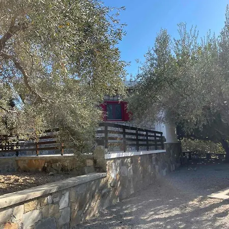 בית נופש Thomas House