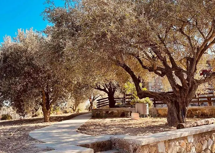 בית נופש Thomas House *